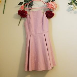 NWT Pink Fit & Flare Dress